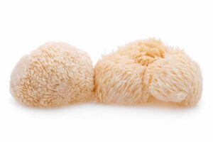lions-mane-mushroom
