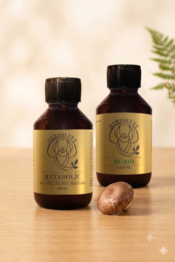 HerbalVet folyékony gyógygomba technológia
